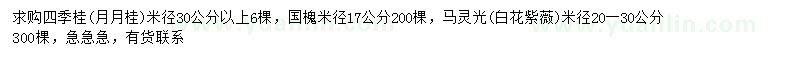 求购四季桂、国槐、马灵光