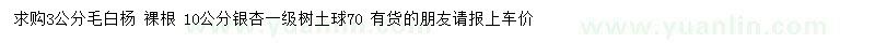 求购3公分毛白杨、10公分银杏