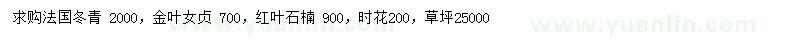 求购法国冬青、金叶女贞、红叶石楠等