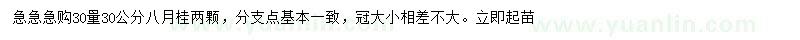 求购30处量30公分八月桂