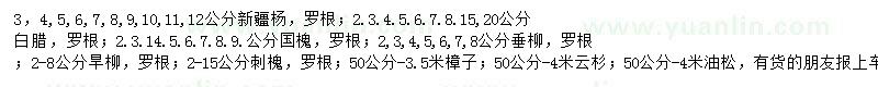 求购新疆杨、白蜡、国槐等