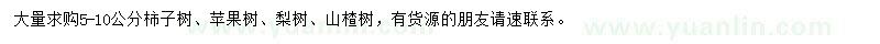 求购柿子树、苹果树、梨树等