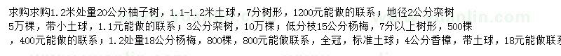 求购柚子树、栾树、杨梅树等