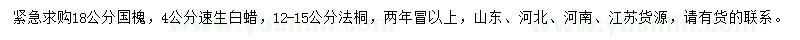 求购国槐、速生白蜡、法桐