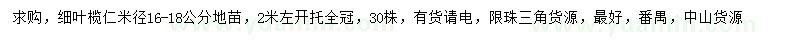求购米径16-18公分细叶榄仁