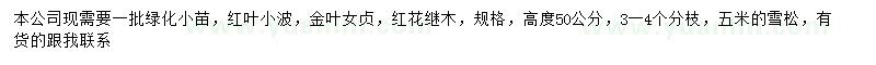 求购红叶小檗、金叶女贞、红花继木等