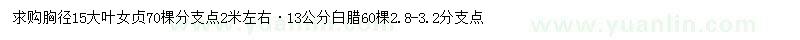 求购15公分大叶女贞、13公分白腊