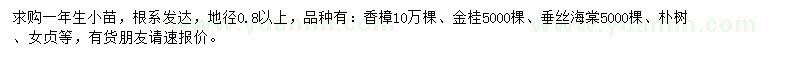 求购香樟、金桂、垂丝海棠小苗