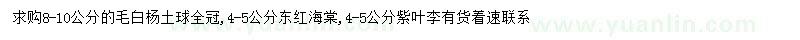 求购毛白杨、东红海棠、紫叶李