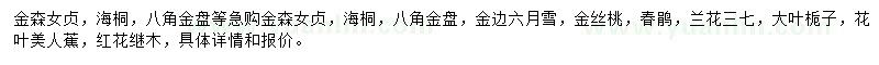 求购金森女贞、海桐、八角金盘等