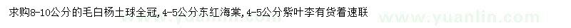 求购毛白杨、东红海棠、紫叶李