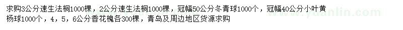 求购速生法桐、冬青球、小叶黄杨球等