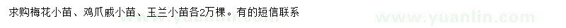 求购梅花小苗、鸡爪戚小苗、玉兰小苗