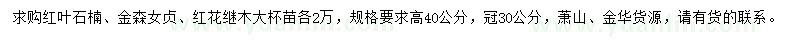 求购红叶石楠、金森女贞、红花继木大杯苗