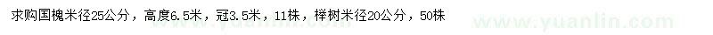 求购米径25公分国槐、20公分榉树