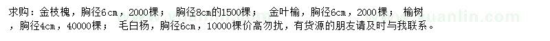 求购金枝槐、金叶榆、榆树等