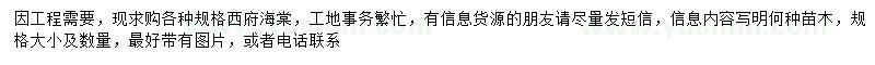 求购西府海棠