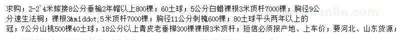 求购垂榆、白蜡、速生法桐等