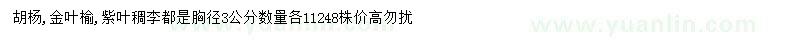 求购胡杨、金叶榆、紫叶稠李