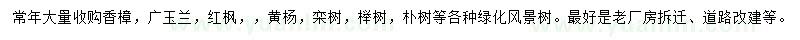 求购香樟、广玉兰、栾树等