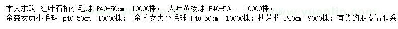 求购红叶石楠小毛球、大叶黄杨小毛球、金森女贞小毛球等