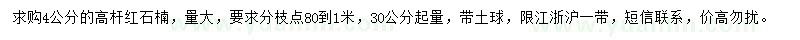 求购4公分高杆红石楠