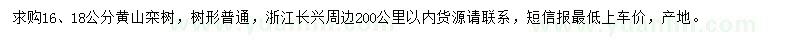 求购16、18公分黄山栾树