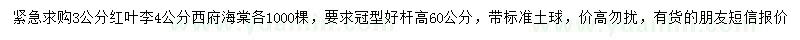 求购3公分红叶李、4公分西府海棠