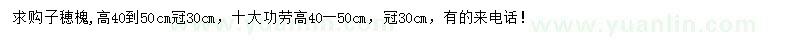 求购高40-50公分子穂槐、十大功劳
