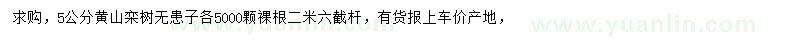 求购5公分黄山栾树、无患子