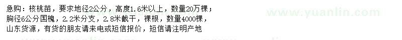 求购地径2公分核桃、胸径6公分国槐