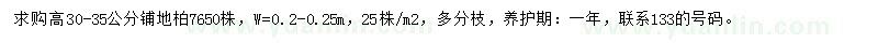 求购高30-35公分铺地柏