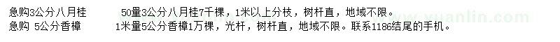 求购50量3公分八月桂、1米量5公分香樟