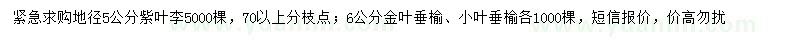 求购紫叶李、金叶垂榆、小叶垂榆