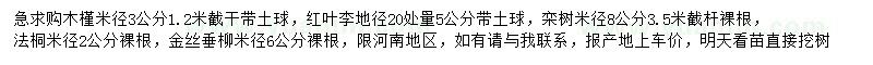 求购木槿、红叶李、栾树等