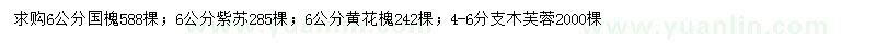 求购国槐、紫苏、黄花槐等