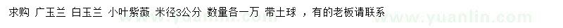 求购广玉兰、白玉兰、小叶紫薇