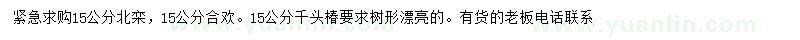 求购北栾、合欢、千头椿