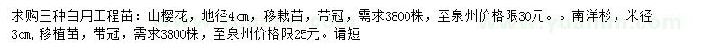 求购山樱花、南洋杉、黄连木地苗