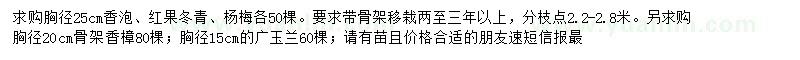 求购胸径25公分香泡、红果冬青、杨梅