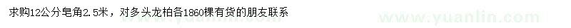 求购12公分皂角、对多头龙柏