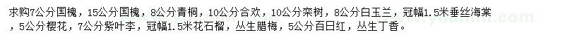 求购国槐、青桐、合欢等