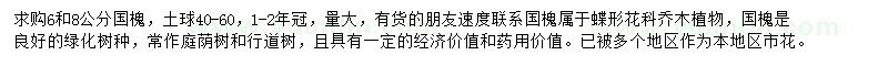 求购6、8公分国槐