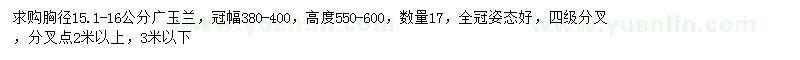 求购胸径15.1-16公分广玉兰