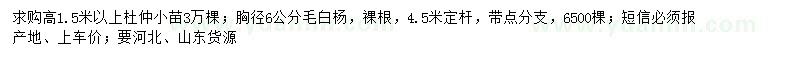 求购高1.5米杜仲小苗、胸径6公分毛白杨