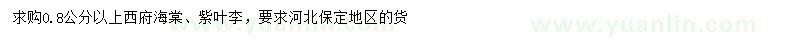 求购0.8公分以上西府海棠、紫叶李