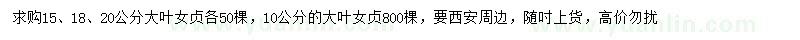 求购10、15、18、20公分大叶女贞