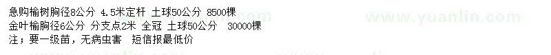 求购胸径8公分榆树、胸径6公分金叶榆