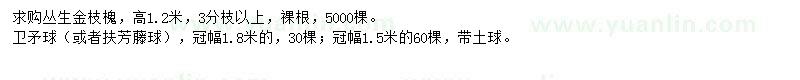 求购高1.2米金枝槐、冠幅1.8米卫矛球