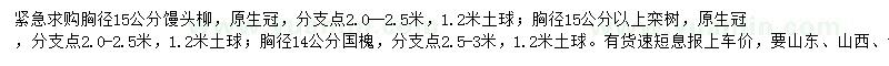 求购馒头柳、栾树、国槐